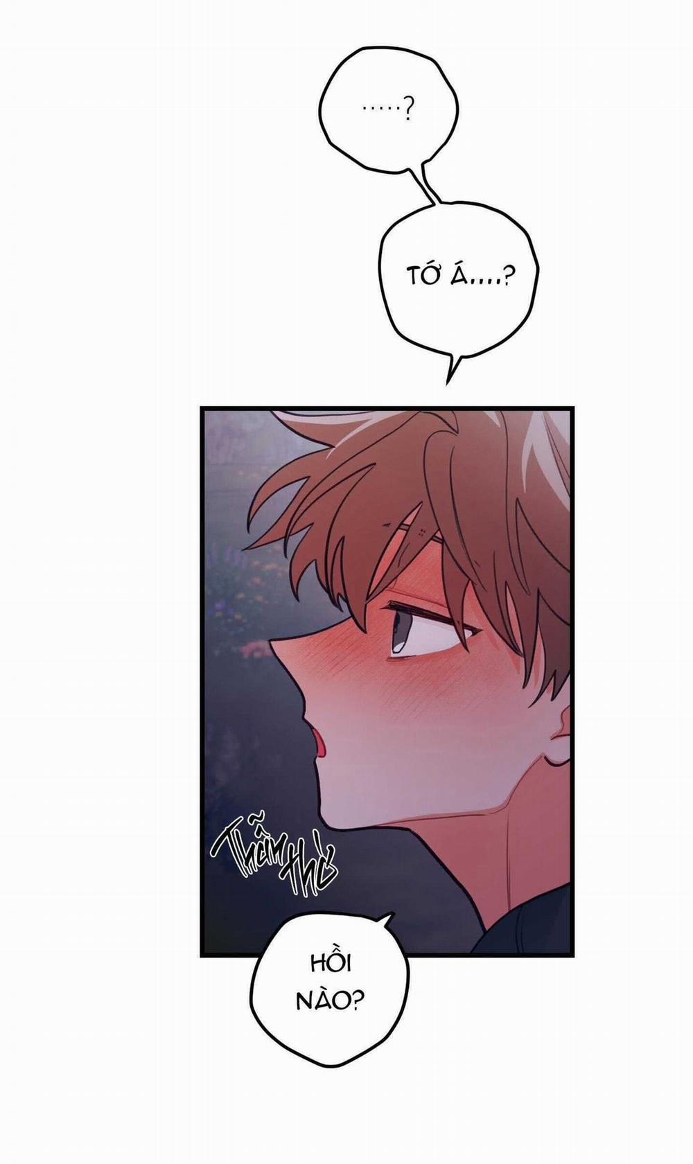 CHUYỆN TÌNH HOA LÊ NỞ 74 trang 21