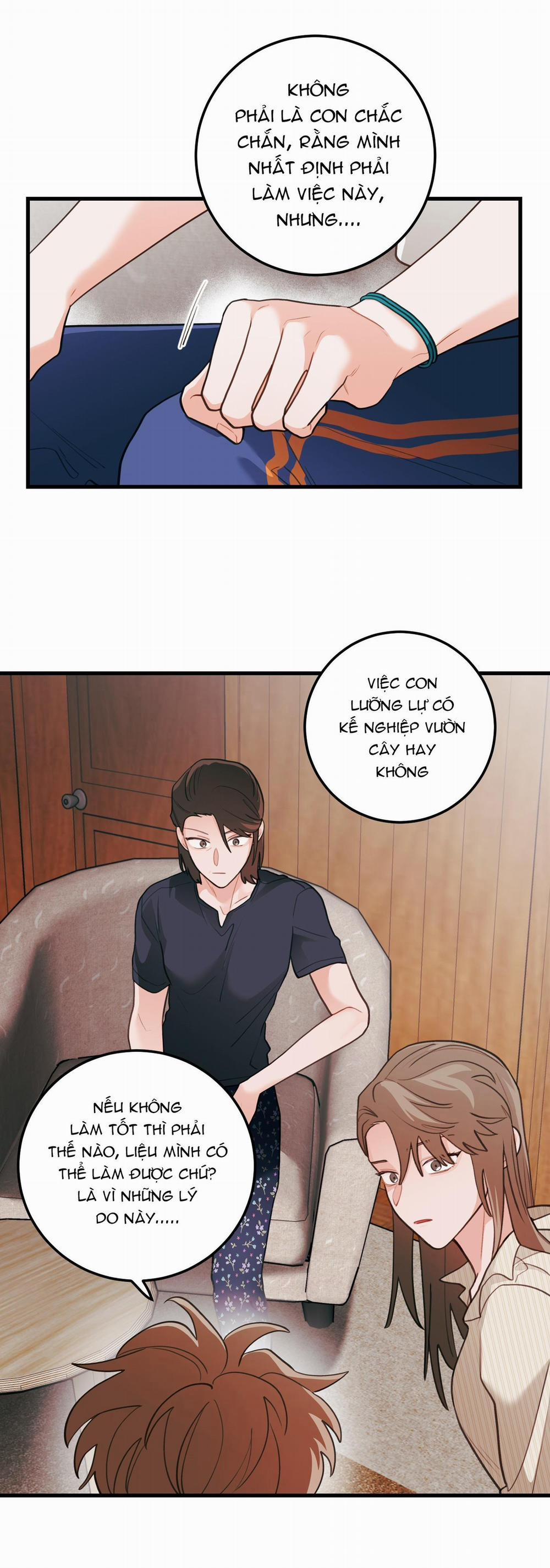 CHUYỆN TÌNH HOA LÊ NỞ 75 trang 12