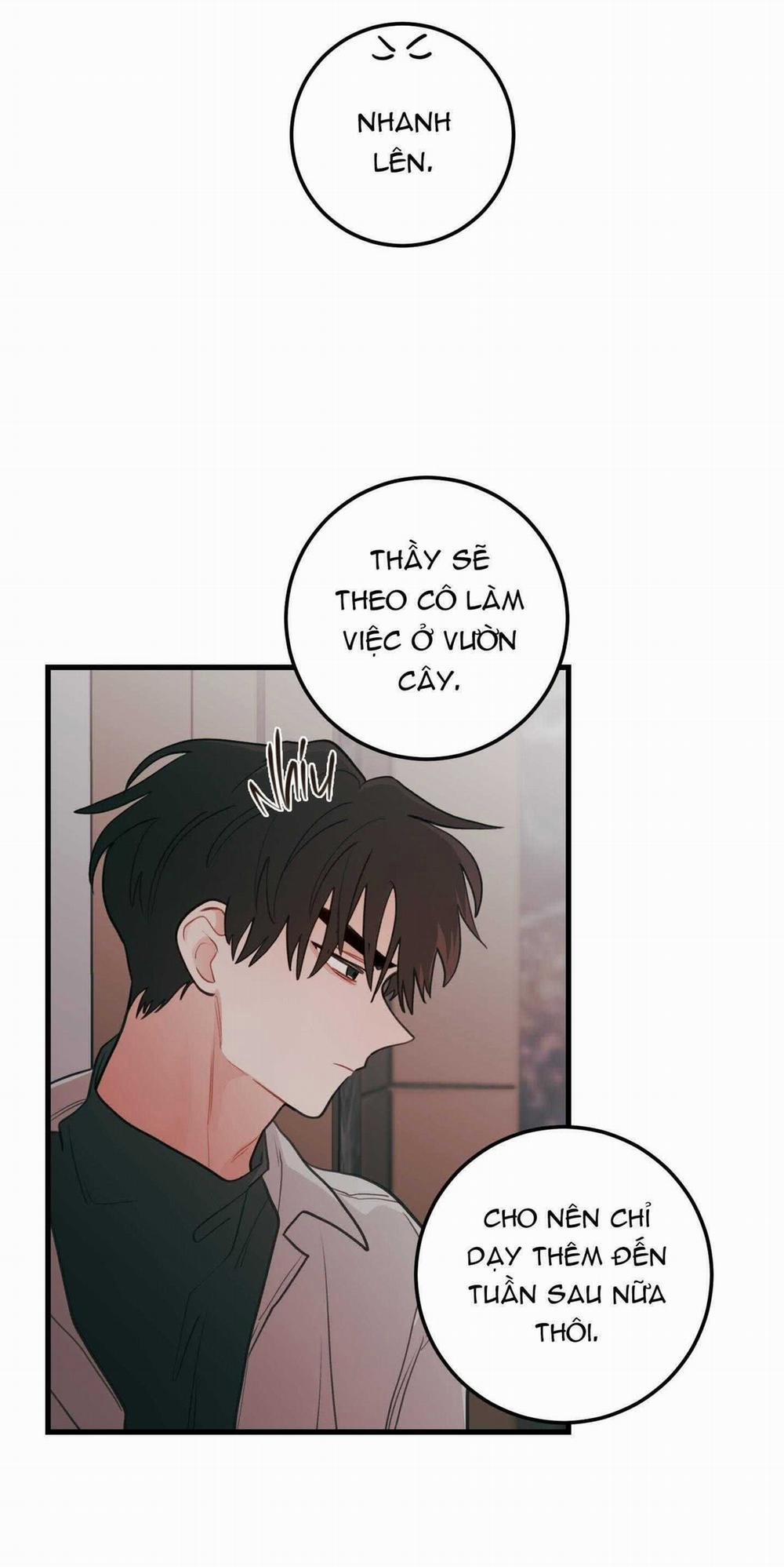 CHUYỆN TÌNH HOA LÊ NỞ 76 trang 3