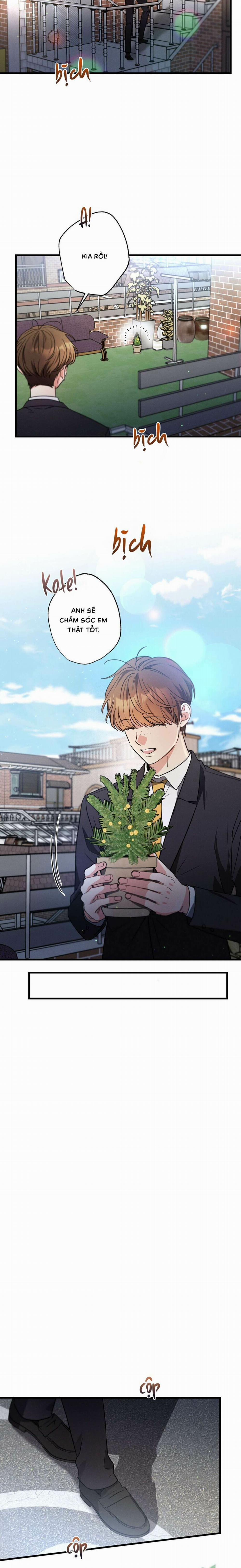 Chuyện Tình Không Lường Trước 100 trang 11