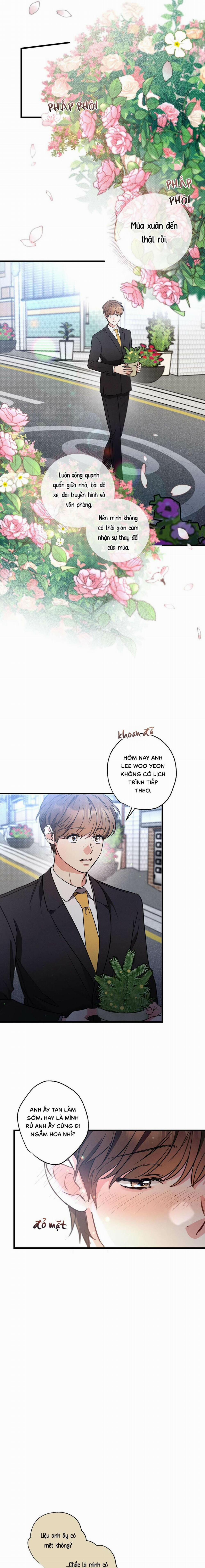 Chuyện Tình Không Lường Trước 100 trang 12