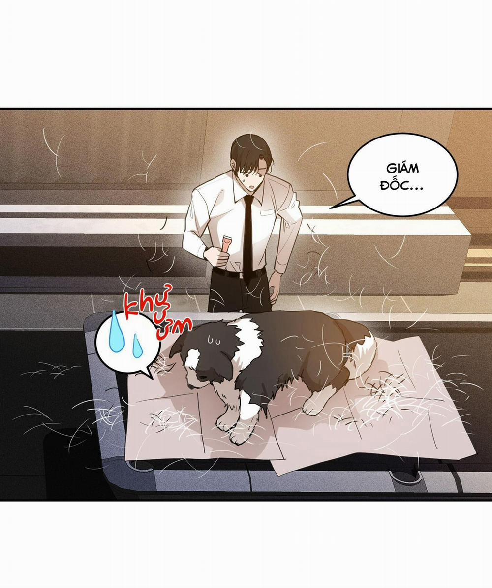 CHUYỆN TÌNH LÔNG CHÓ (END) 1 trang 39