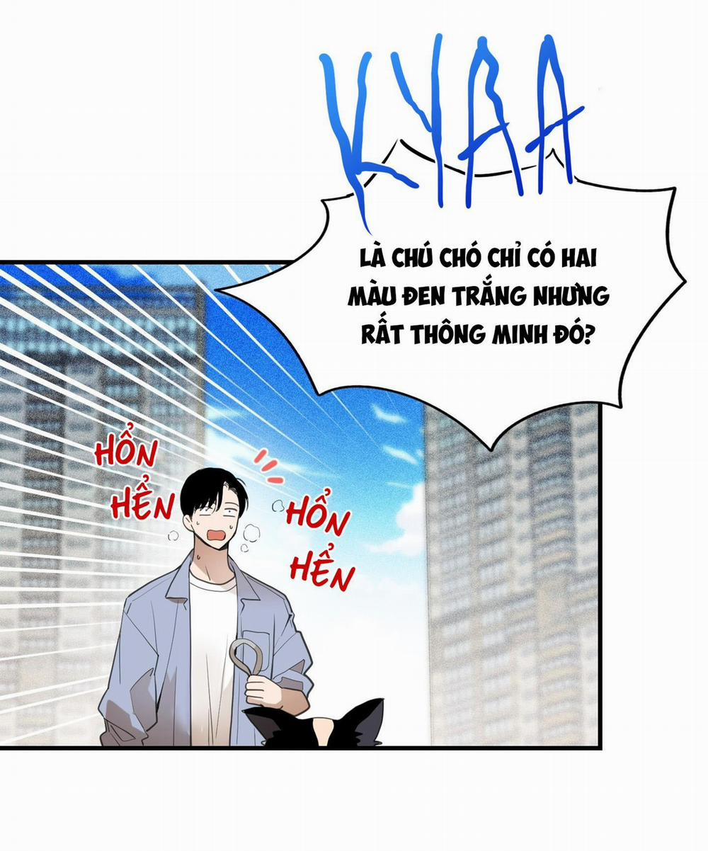 CHUYỆN TÌNH LÔNG CHÓ (END) 7 trang 67