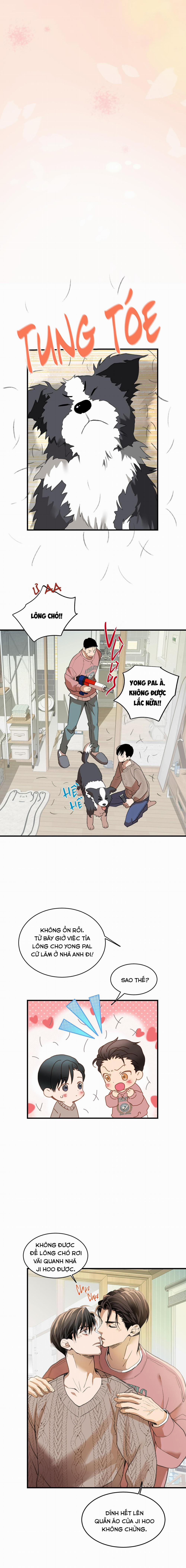 CHUYỆN TÌNH LÔNG CHÓ (END) 9 END trang 18