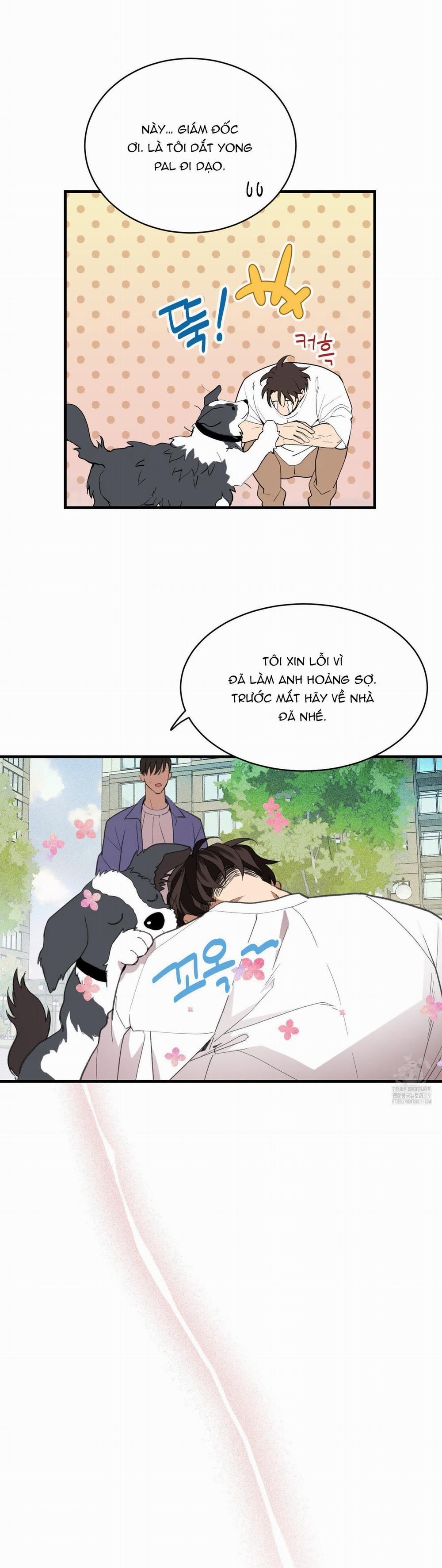 Chuyện Tình Lông Chó 15 trang 3