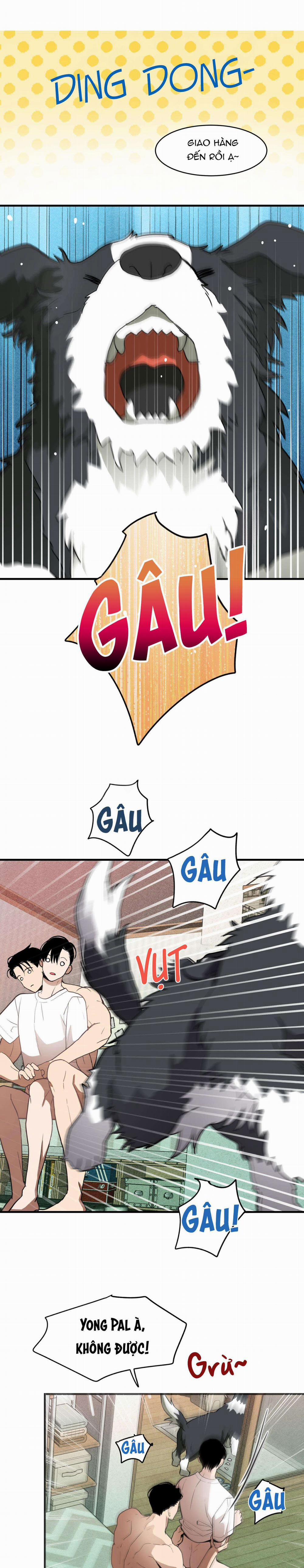 Chuyện Tình Lông Chó 9 trang 13