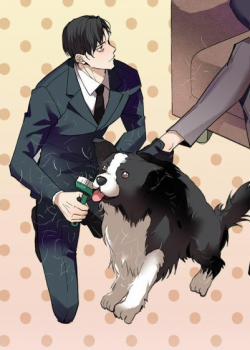 Đọc truyện tranh Chuyện Tình Lông Chó