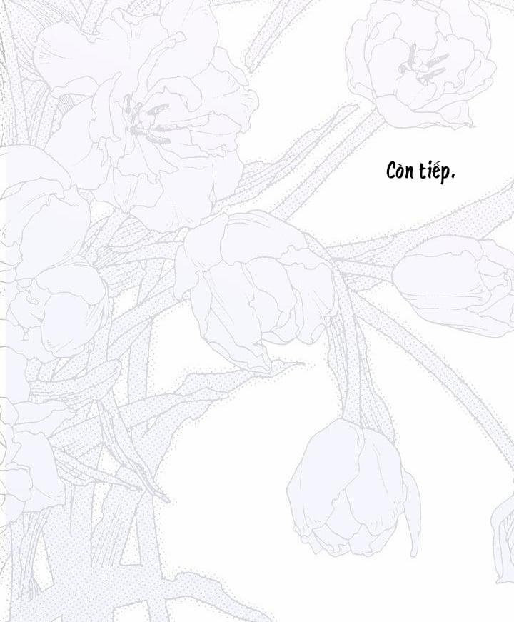 Chuyện Tình Manhattan 35 trang 73