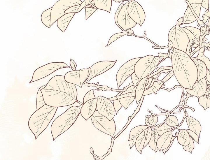 Chuyện Tình Manhattan 43 trang 51