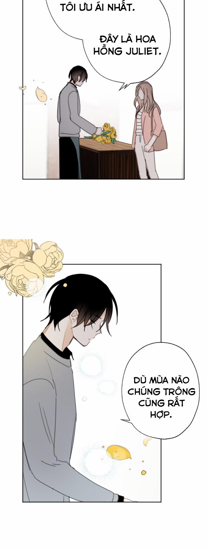 Chuyện Tình Ở Honey Bouche 23 trang 20