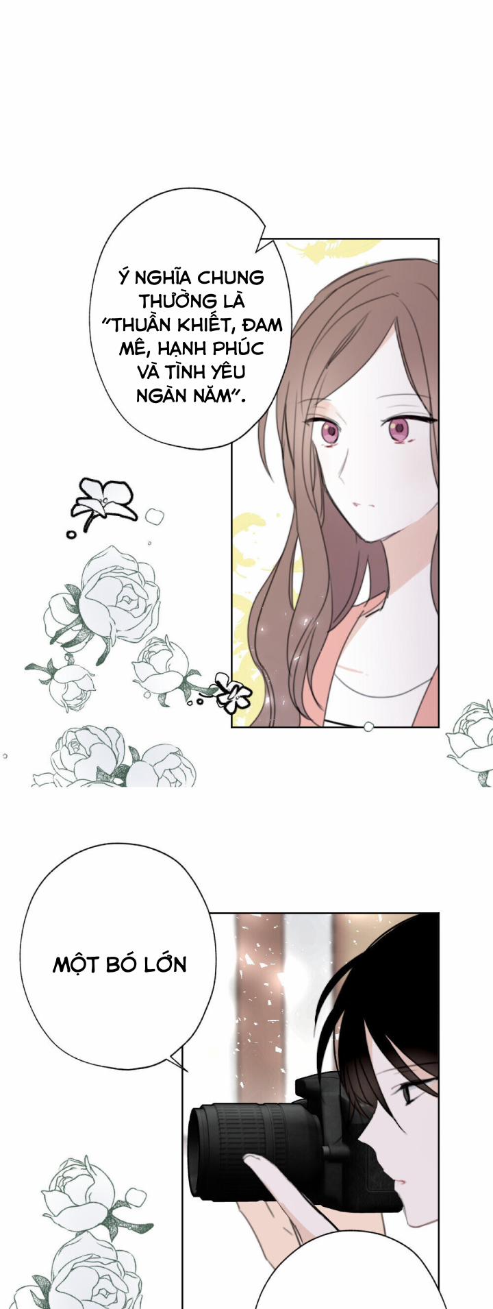 Chuyện Tình Ở Honey Bouche 24 trang 13