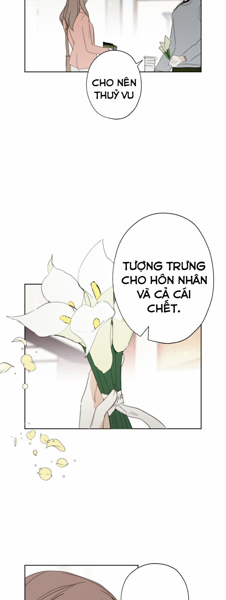 Chuyện Tình Ở Honey Bouche 24 trang 7