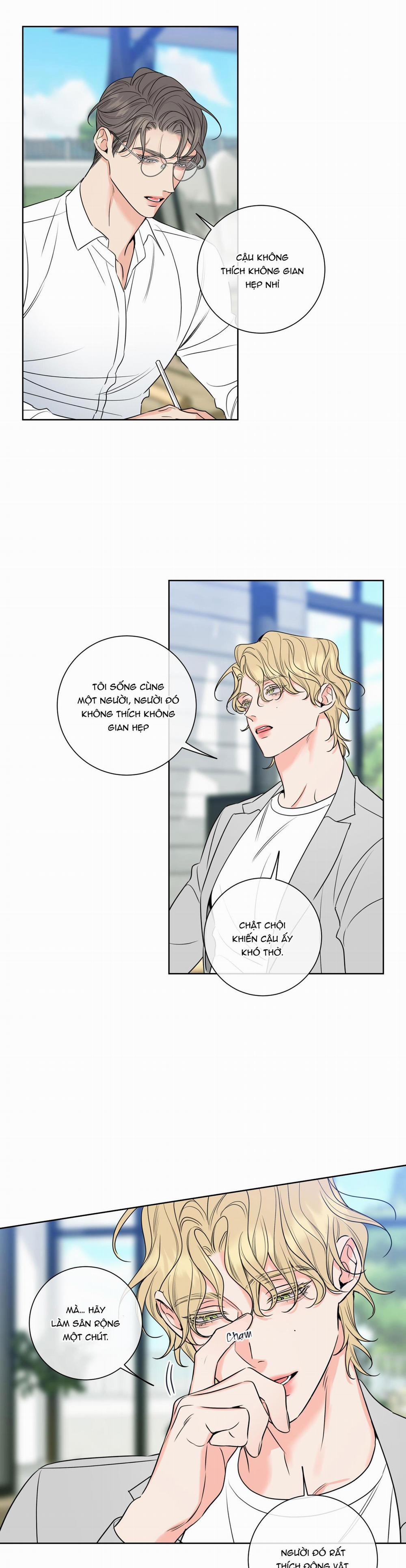 CHUYỆN TÌNH RẮC RỐI -DMBL 13 trang 15