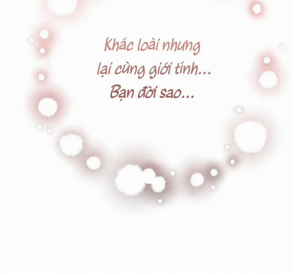 Chuyện Về Bánh Hotteok 9 trang 20