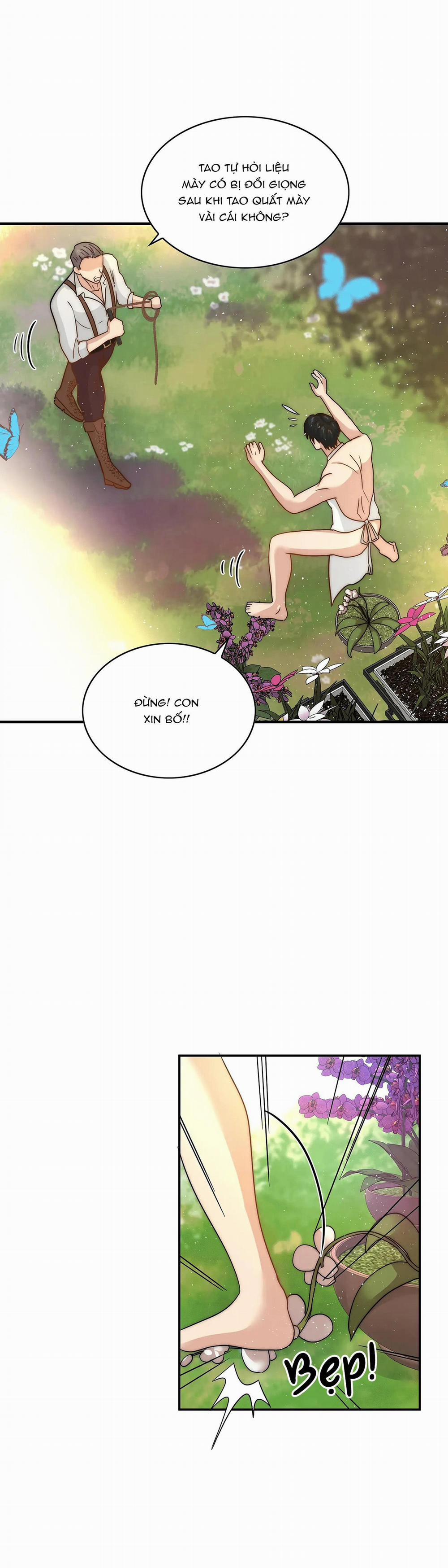 Cinderella 5 trang 1