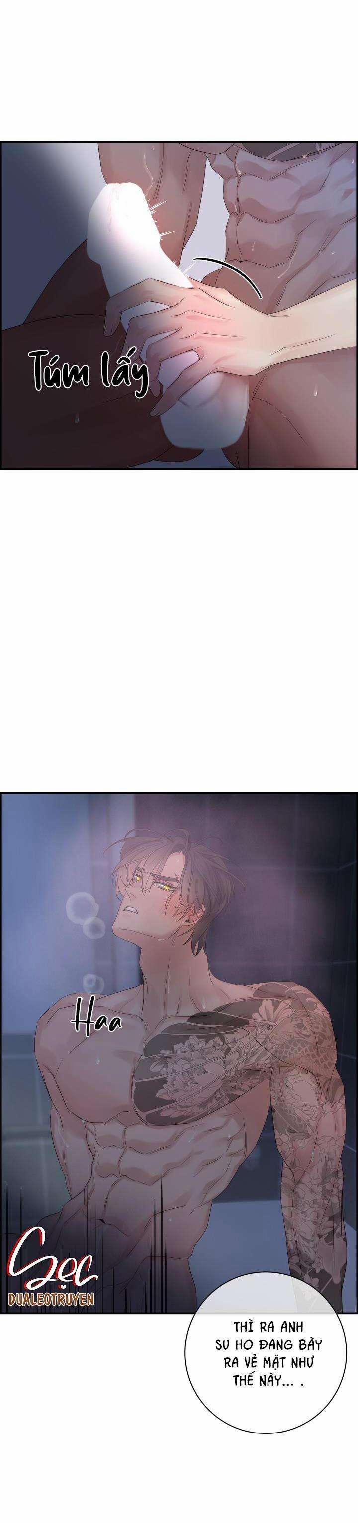 Cơ Chế Bảo Vệ 47 trang 11