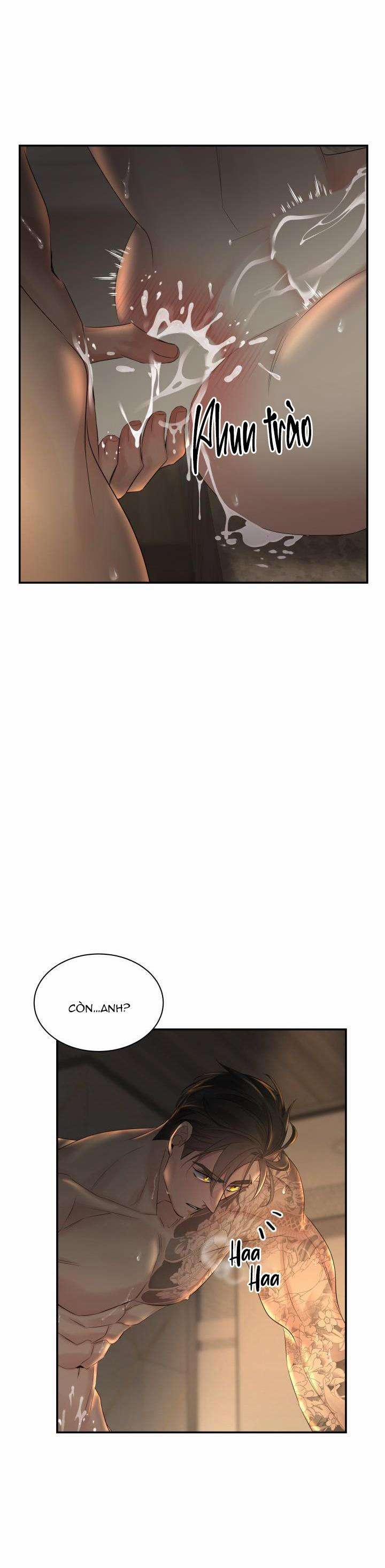 Cơ Chế Bảo Vệ 49 trang 16