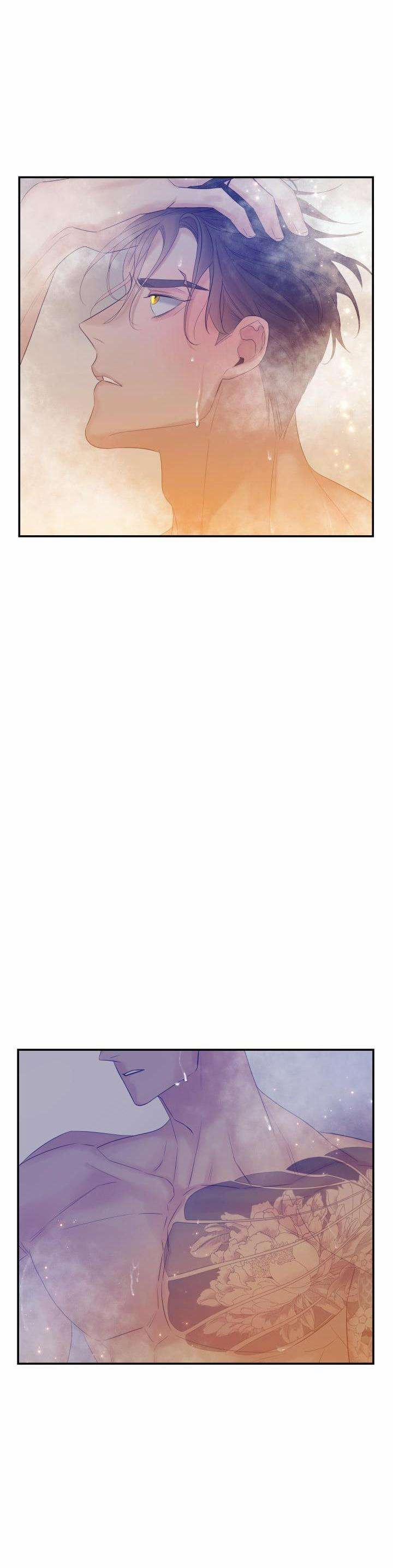 Cơ Chế Bảo Vệ 49 trang 30