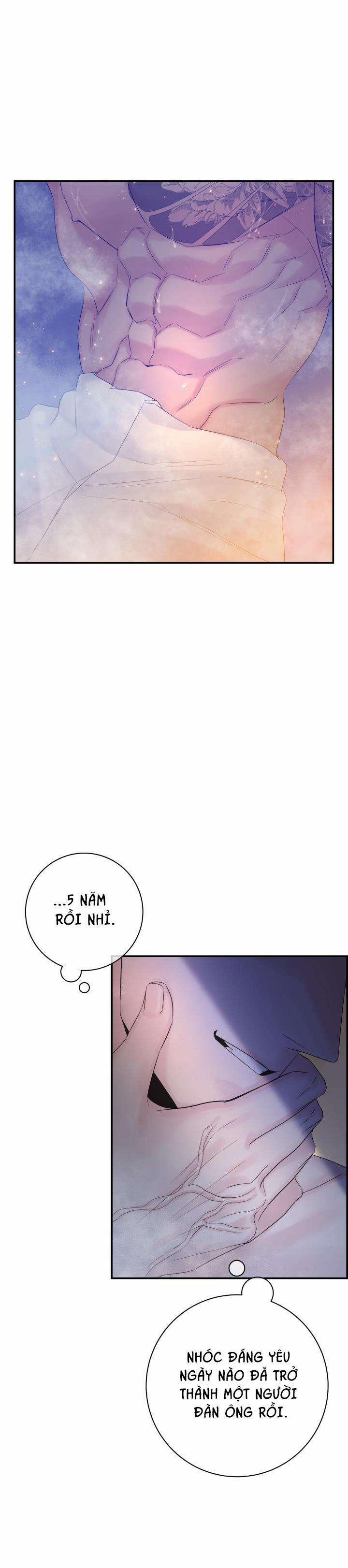 Cơ Chế Bảo Vệ 49 trang 31