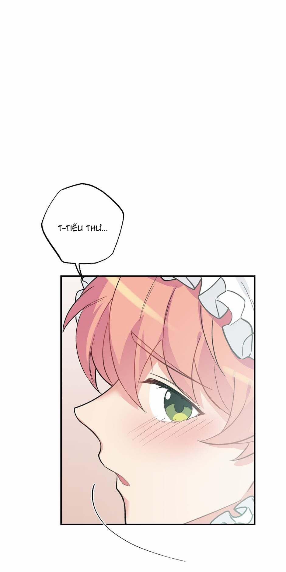 Cô Chủ Và Người Hầu 35 trang 12