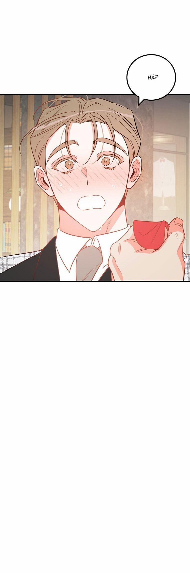 Có Chuyện Gì Xảy Ra Với Sự Nổi Tiếng Của Tôi Thế? 82 NT 12 trang 3