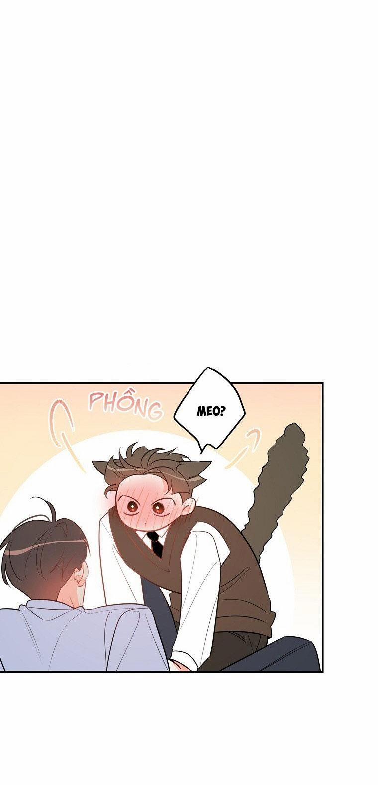 Có Chuyện Gì Xảy Ra Với Sự Nổi Tiếng Của Tôi Thế? 86 NT 16 END trang 39