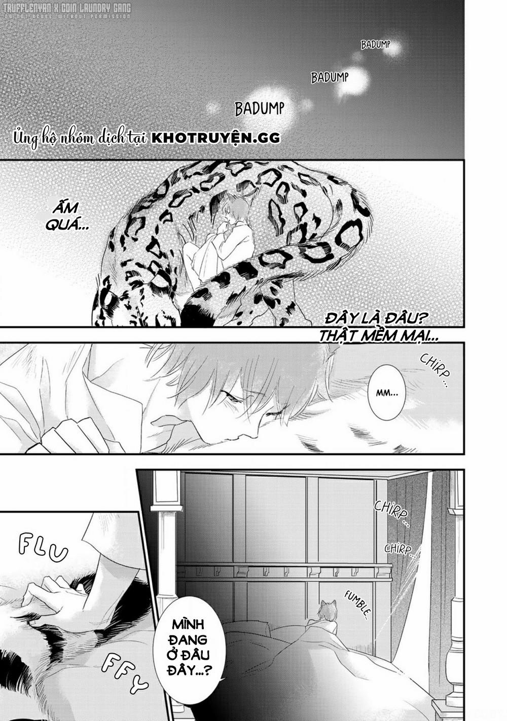 Cô Dâu Cáo Sa Mạc Của Quý Ngài Thú Vương 1 trang 16