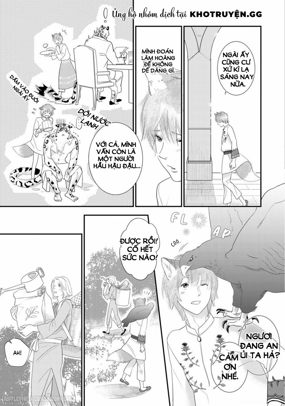 Cô Dâu Cáo Sa Mạc Của Quý Ngài Thú Vương 3 trang 12