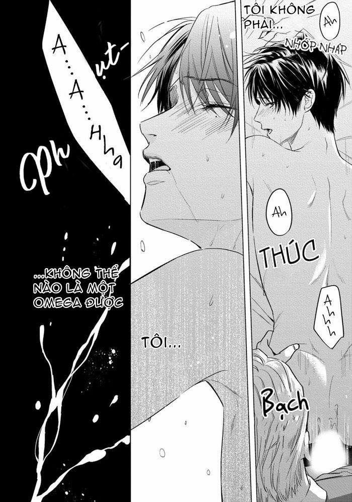 Cô Dâu Của Alpha 1 trang 2