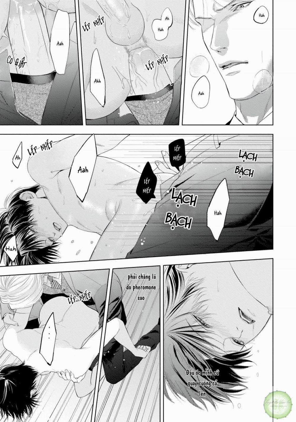 Cô Dâu Của Alpha 6 trang 15