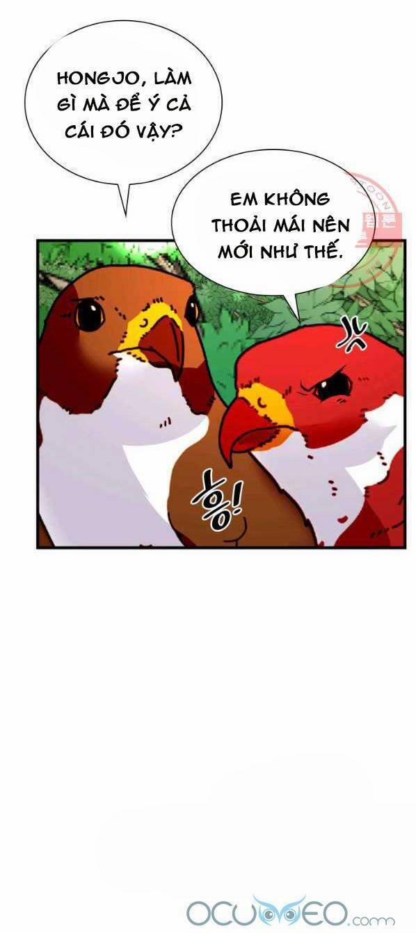 Cô Dâu Của Sói Đen 14 trang 10