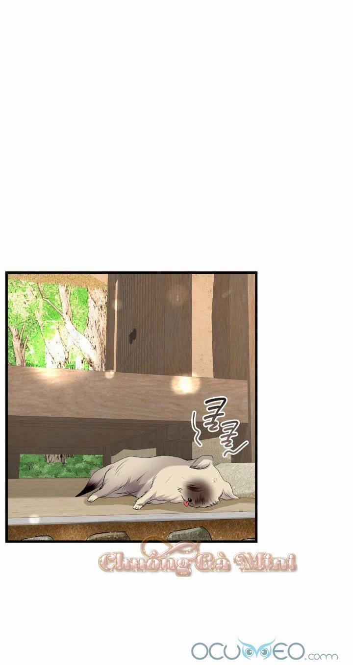 Cô Dâu Của Sói Đen 19 trang 18