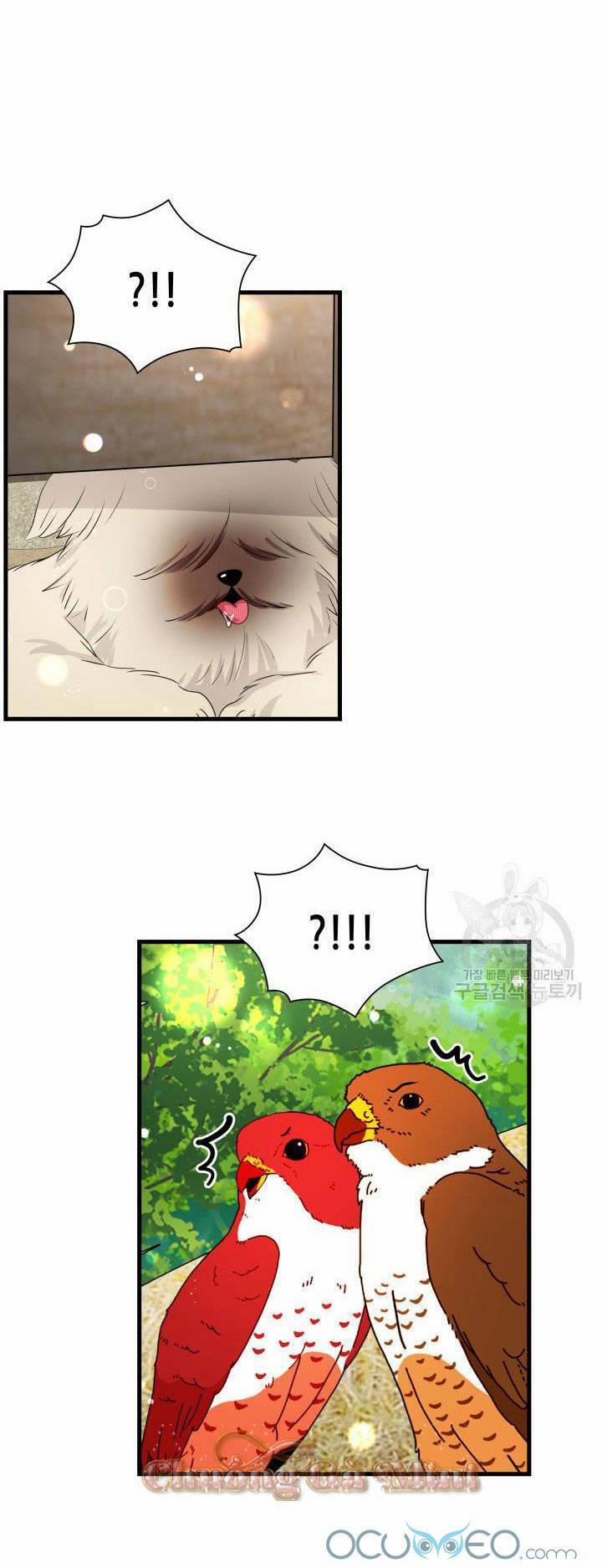 Cô Dâu Của Sói Đen 19 trang 24