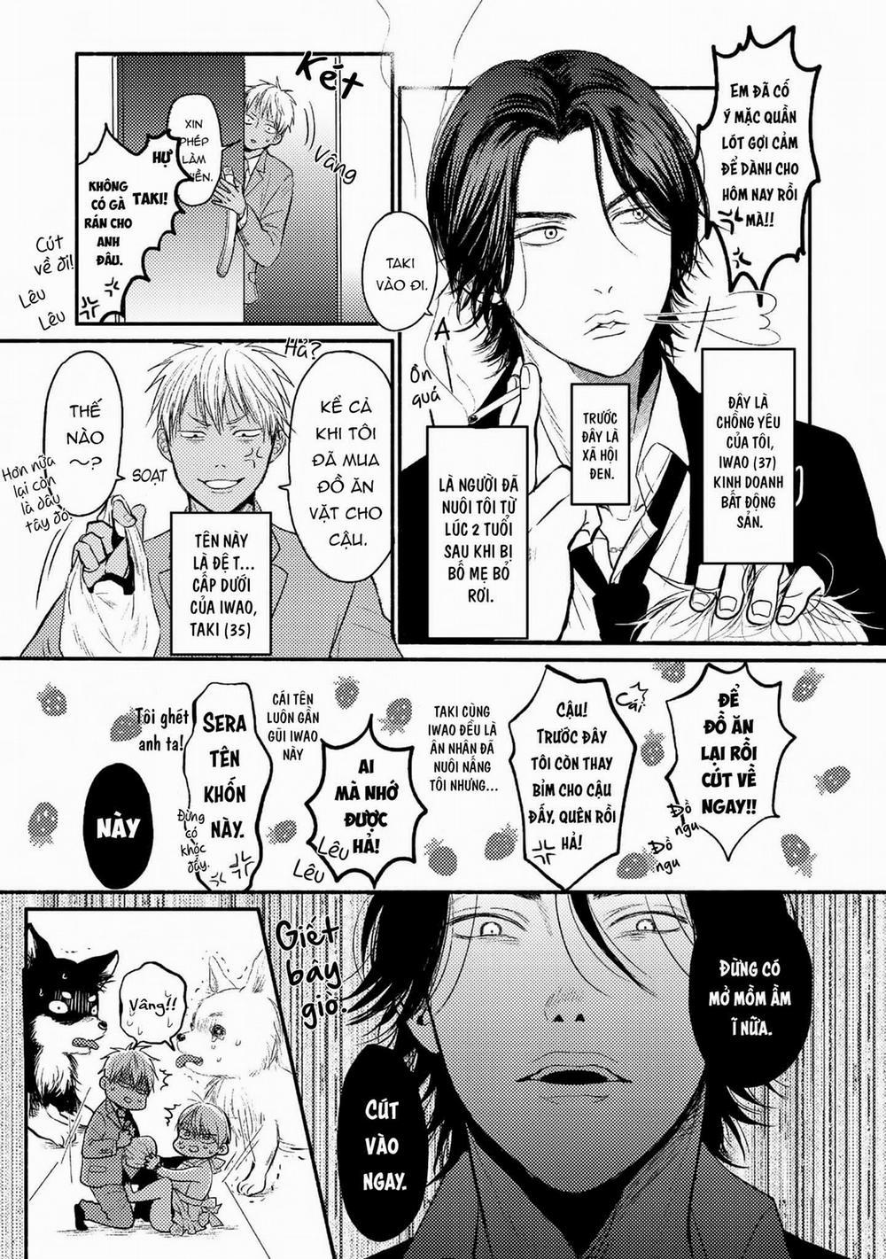 Cô Dâu Của Yakuza 1 trang 2