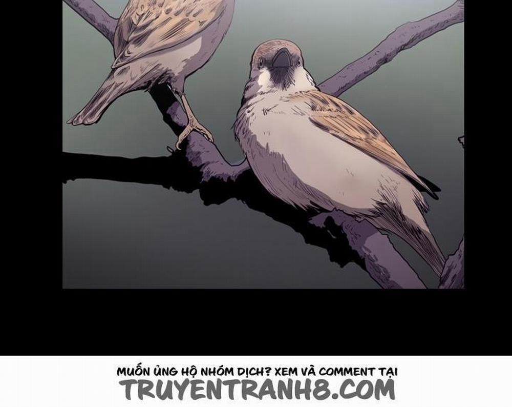 Cô Gái Khốn Khổ 46 trang 20