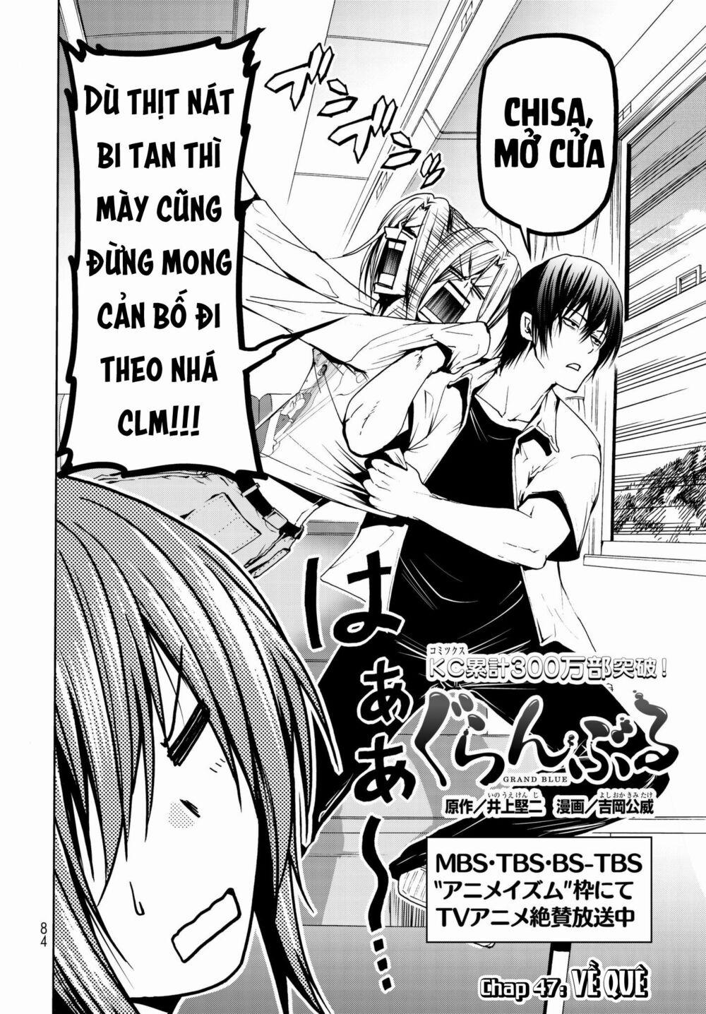 Cô Gái Thích Lặn - Grand Blue 47 trang 2