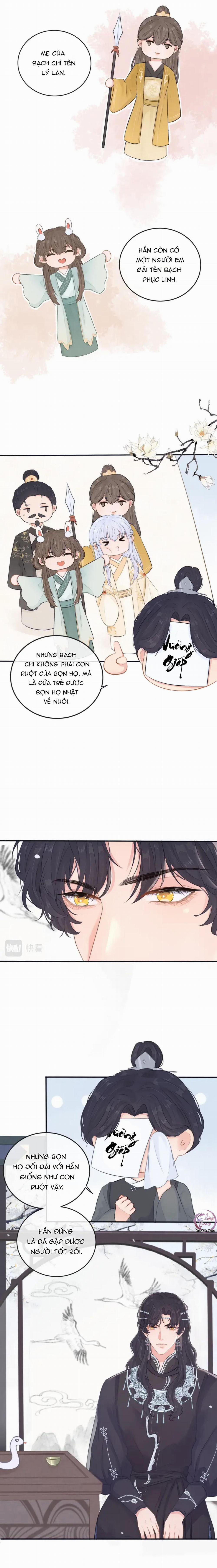 Cổ Hối 5 trang 8