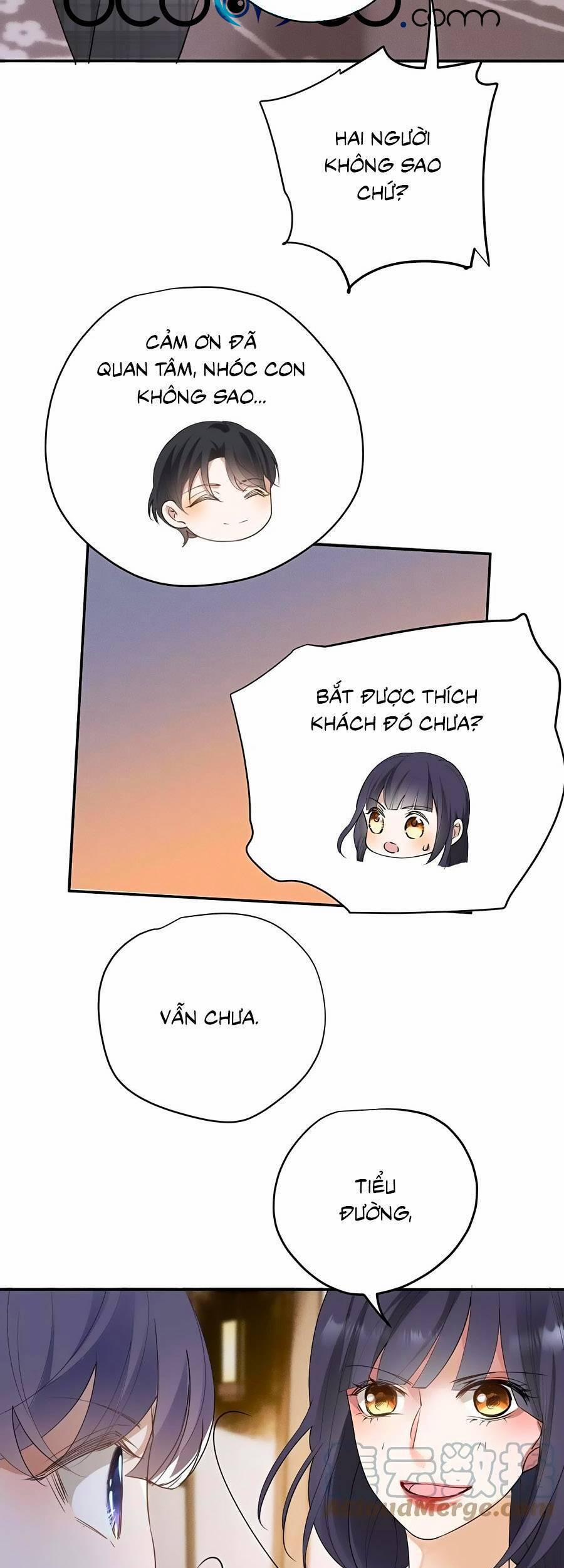 Cô Vợ Mang Thai Một Tặng Một 201 trang 11