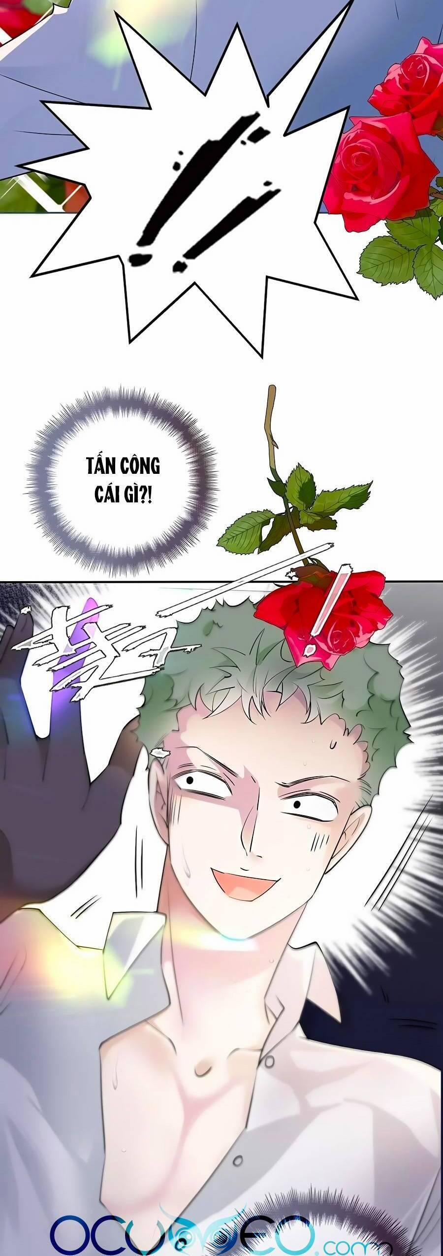 Cô Vợ Mang Thai Một Tặng Một 207 trang 17