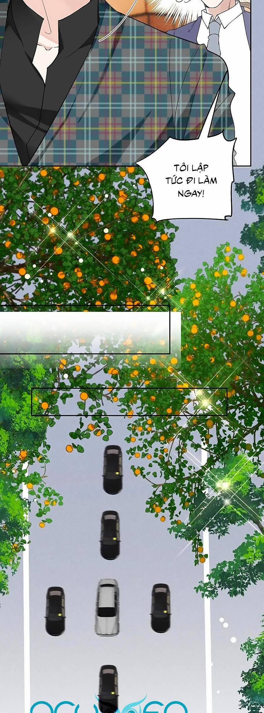 Cô Vợ Mang Thai Một Tặng Một 209 trang 16