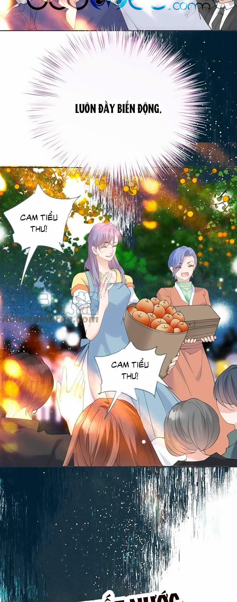 Cô Vợ Mang Thai Một Tặng Một 224 trang 8