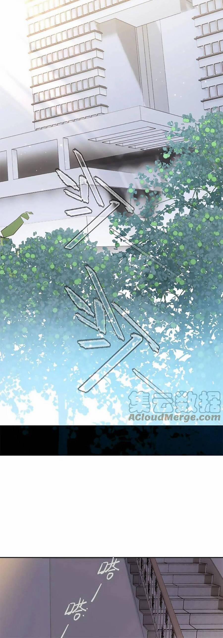 Cô Vợ Mang Thai Một Tặng Một 237 trang 10