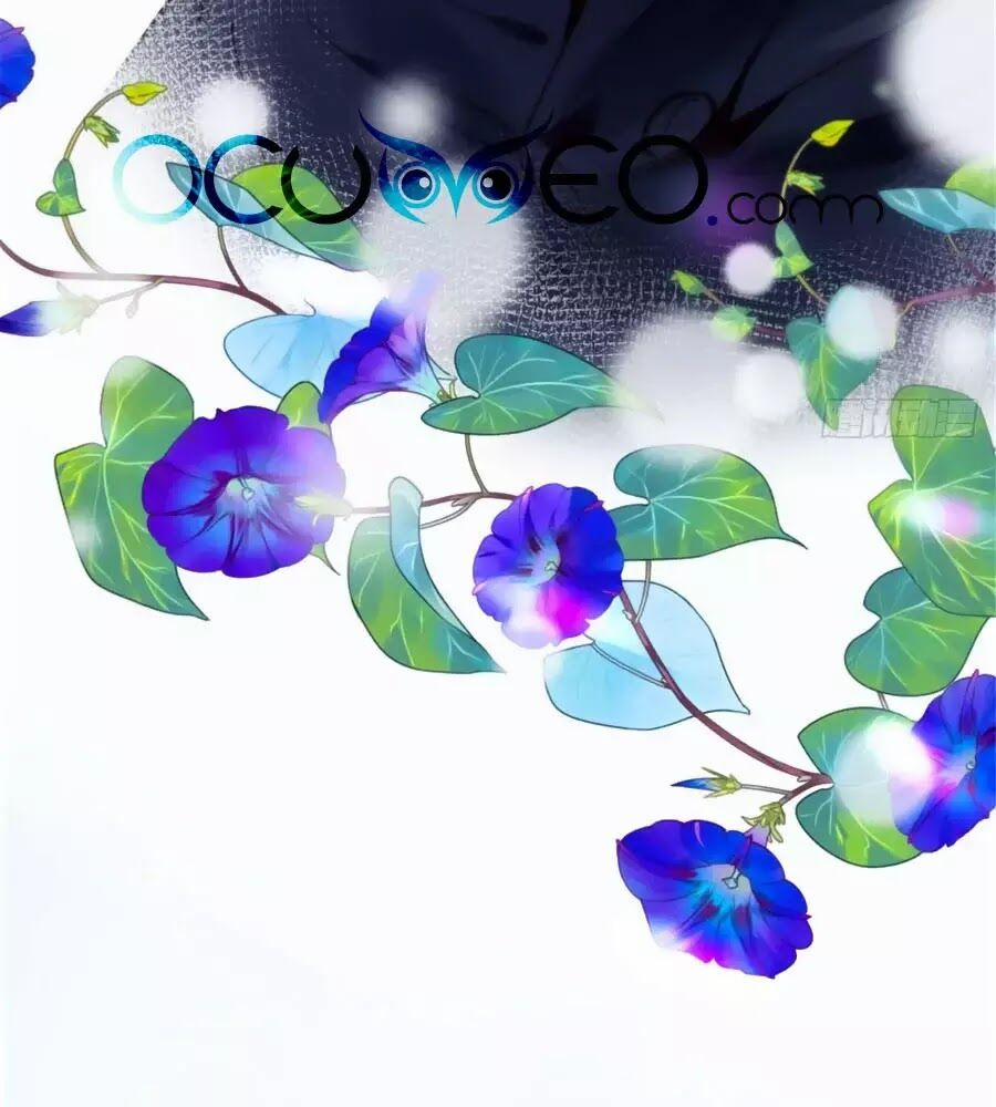 Cô Vợ Mang Thai Một Tặng Một 6 trang 77