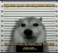 Cô Y tá ngây thơ trực đêm Oneshot trang 4