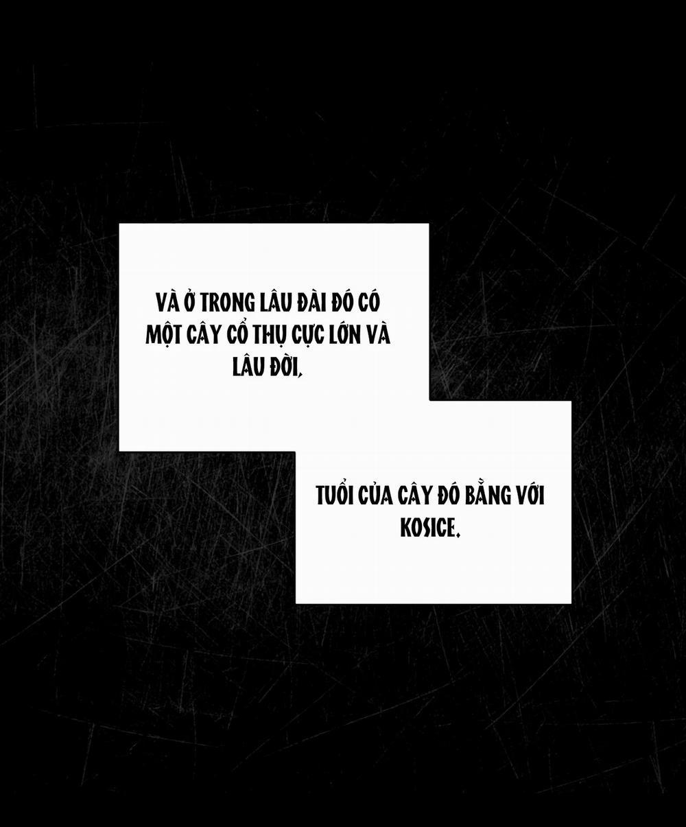 Codename Anastasia 43.2 trang 13