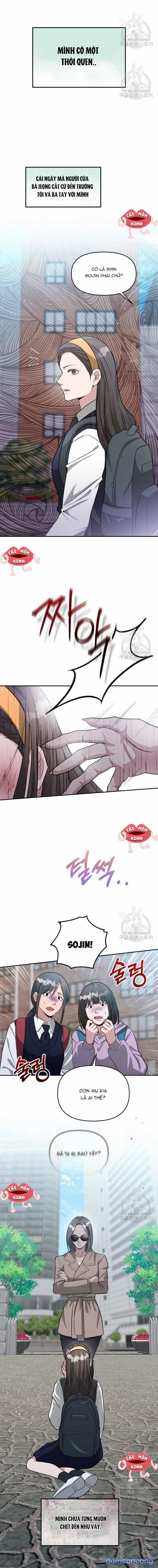 Collector 20 trang 1