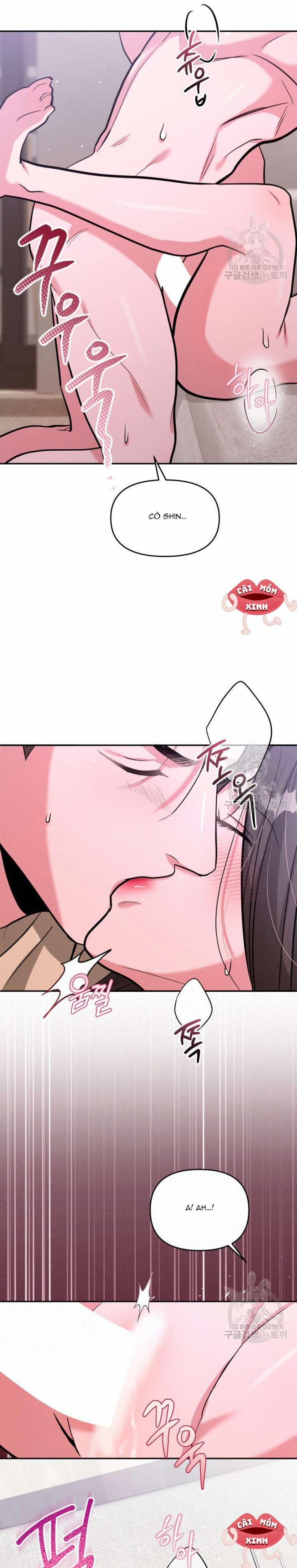 Collector 26 trang 6