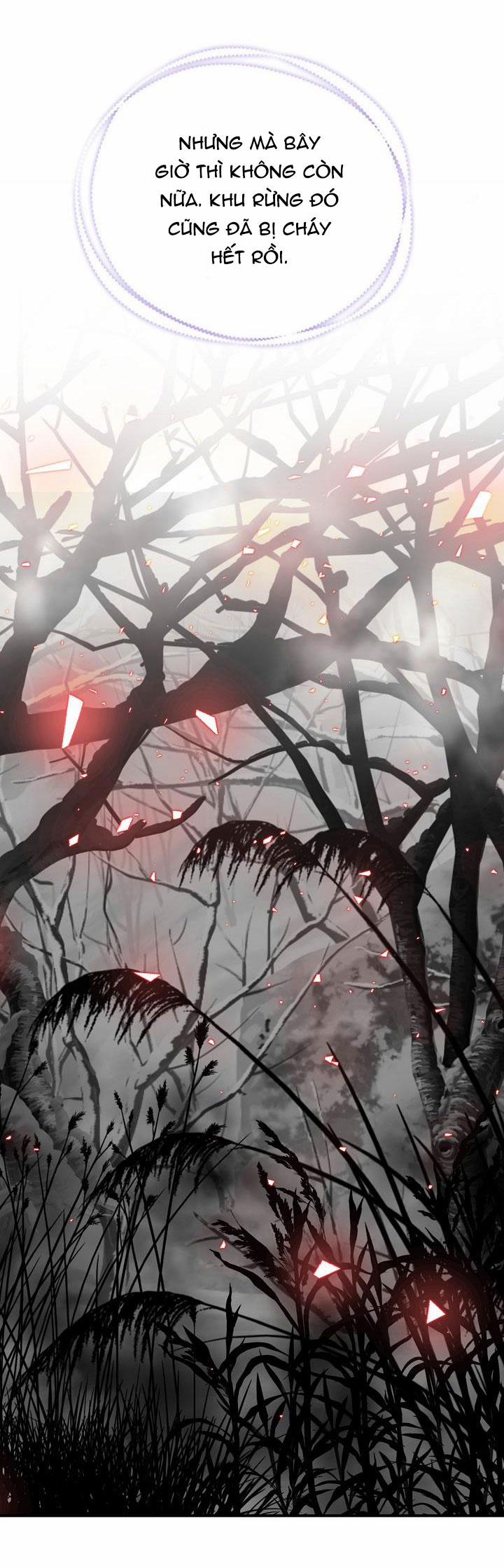 Con Chỉ Đi Tìm Cha Thôi 48.2 trang 3