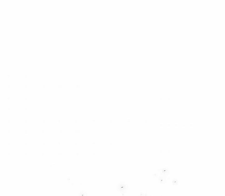 Con Chỉ Đi Tìm Cha Thôi 52 trang 71