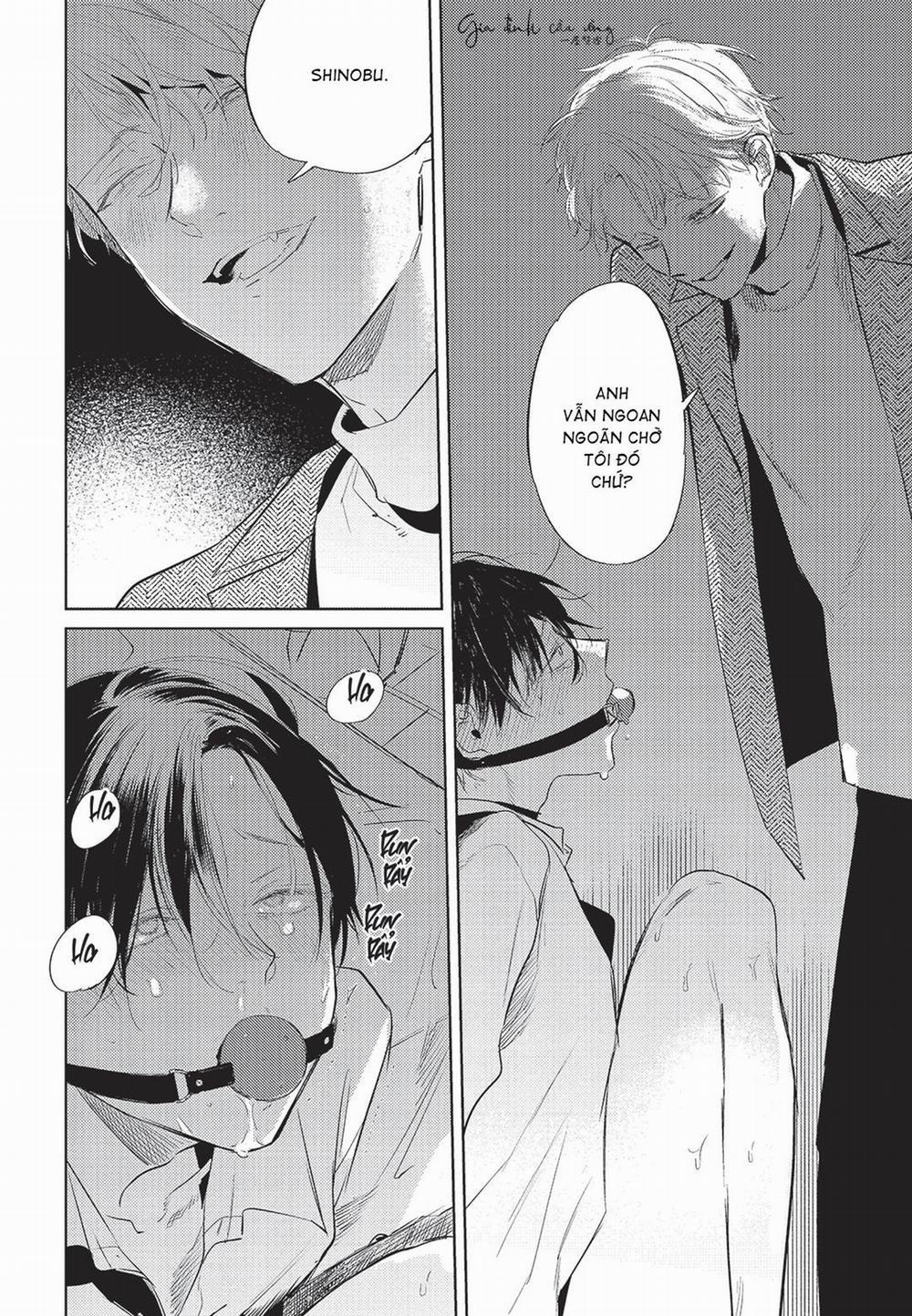 Con chó trung thành muốn cưỡi lên chủ nhân của mình 2 trang 6